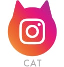 Instagram cat