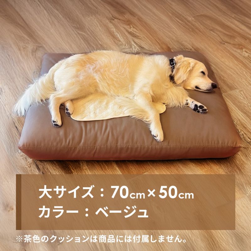 ����������祵�������ѥ��᡼��