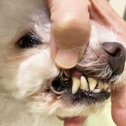 ���β���