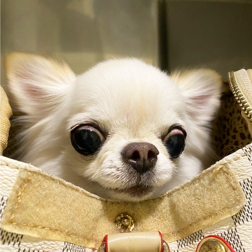 �������β���