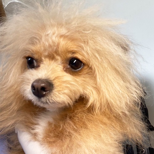 �������β���