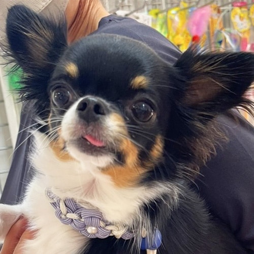 �������β���