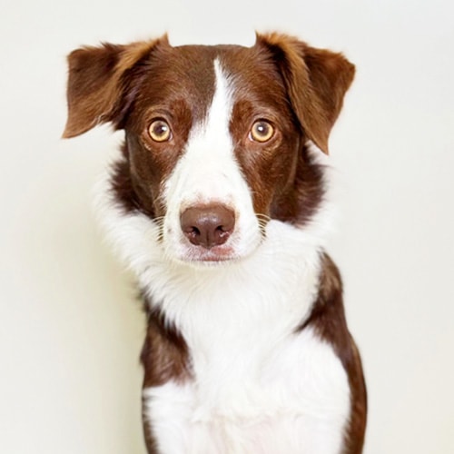 �������β���