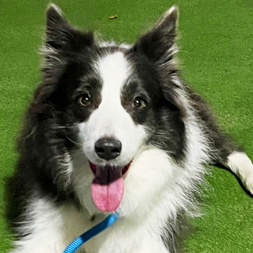 �������β���