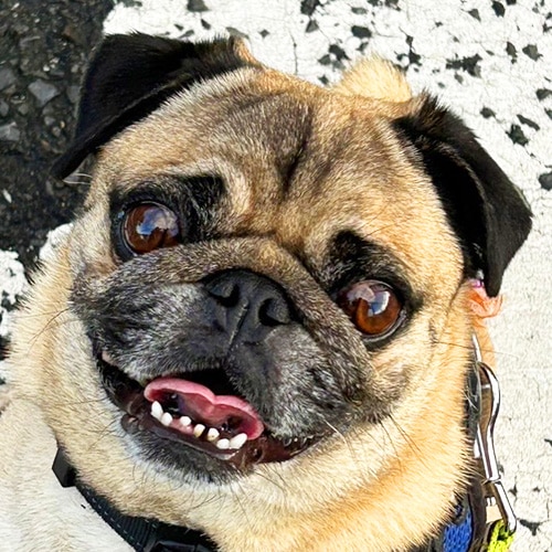 �������β���