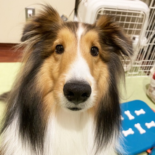 �������β���