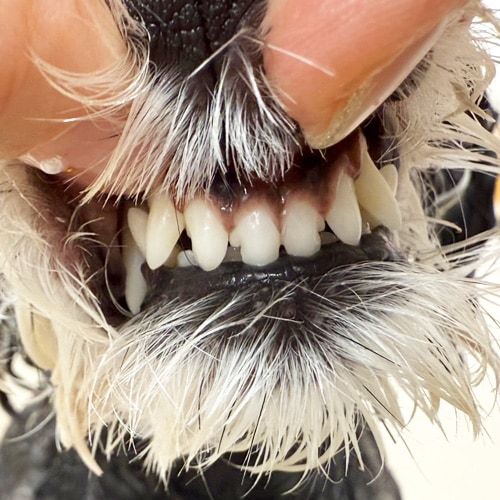 ���β���