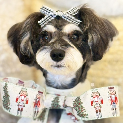 �������β���