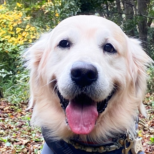 �������β���