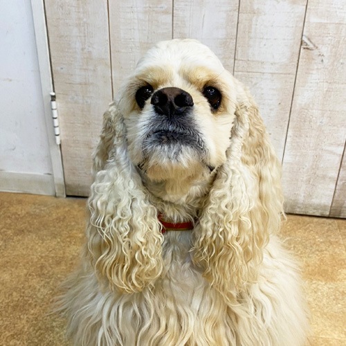 �������β���