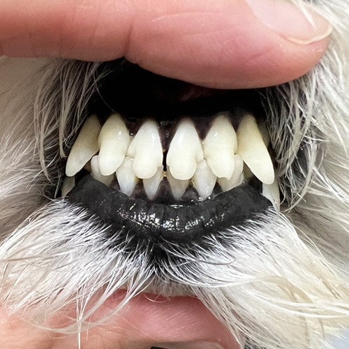 ���β���