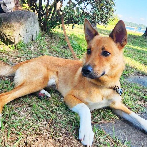 �������β���