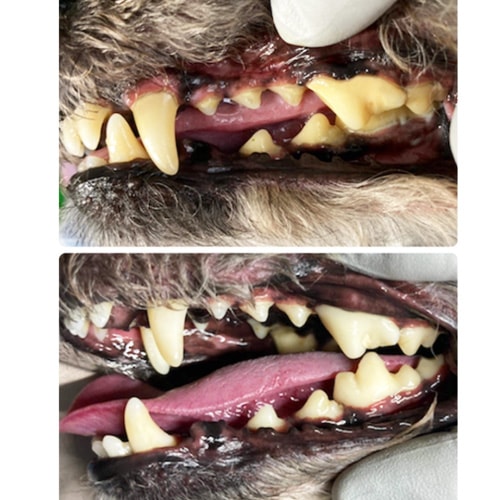 ���β���