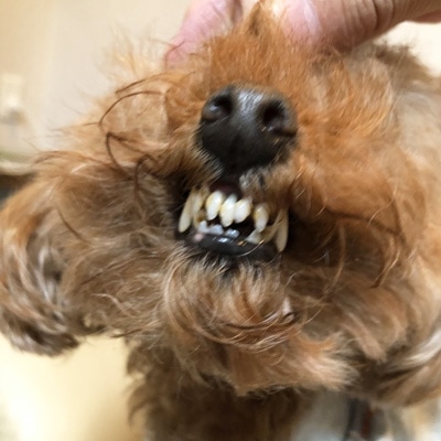 ���β���