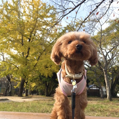 �������β���