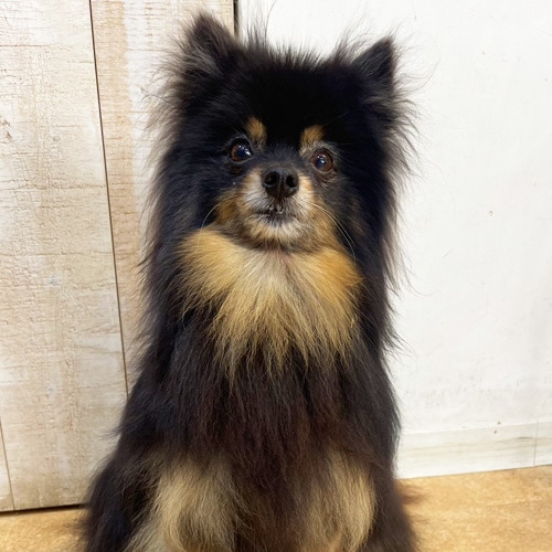 �������β���