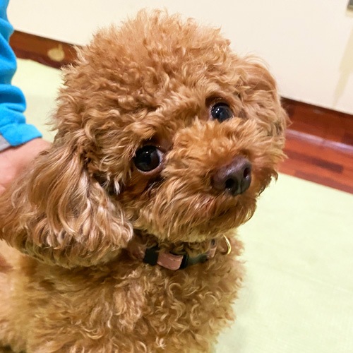 �������β���