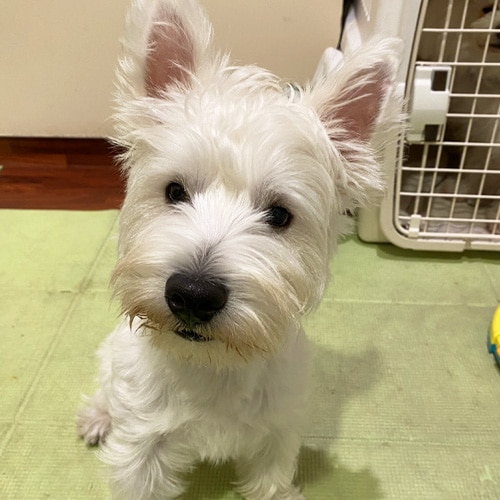 �������β���