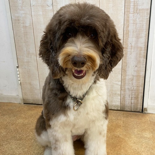 �������β���