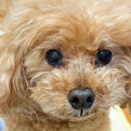 �������β���