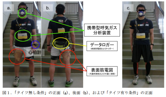 実験の様子
