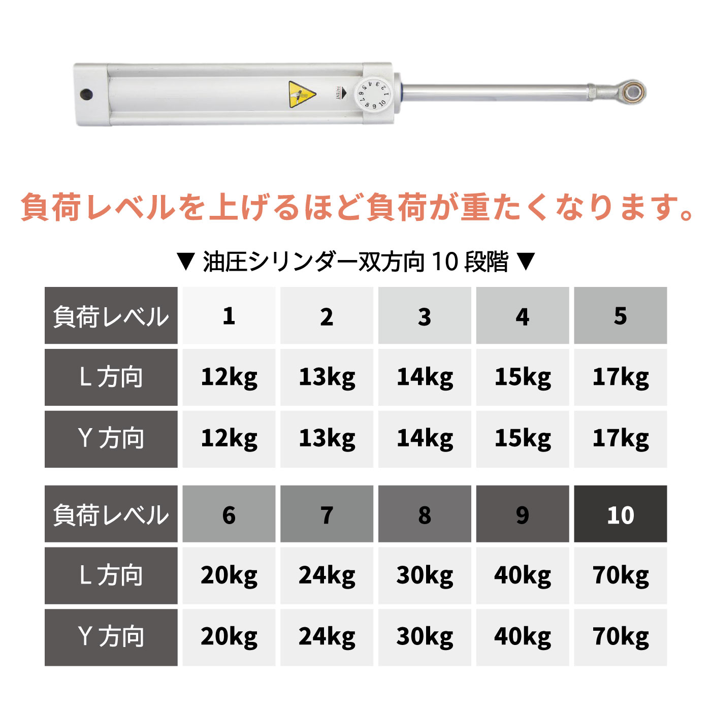 DK-1203（ペクトラルフライ・リアデルトイド）／準業務用油圧マシン