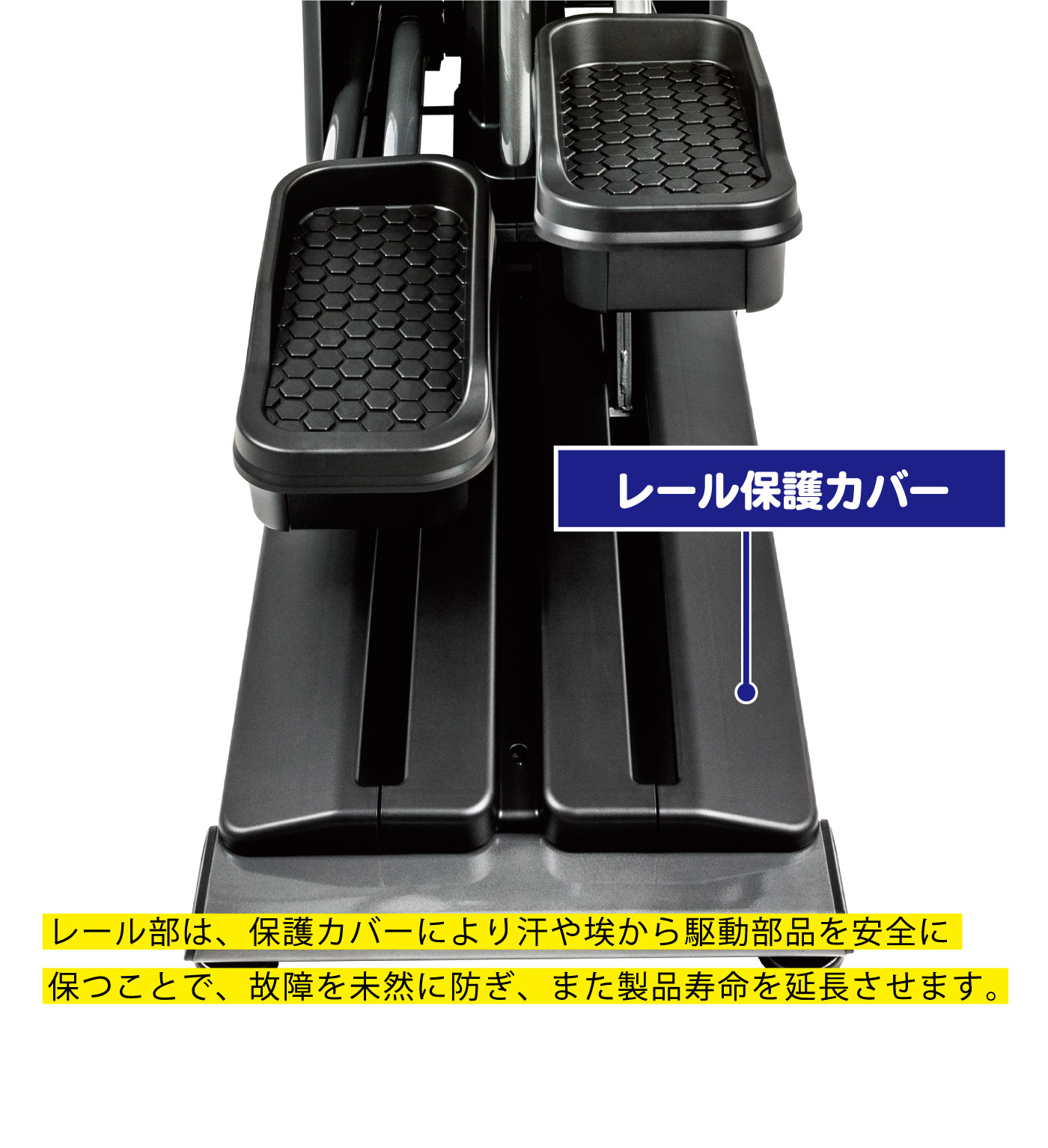 �졼���� �ݸ�С�