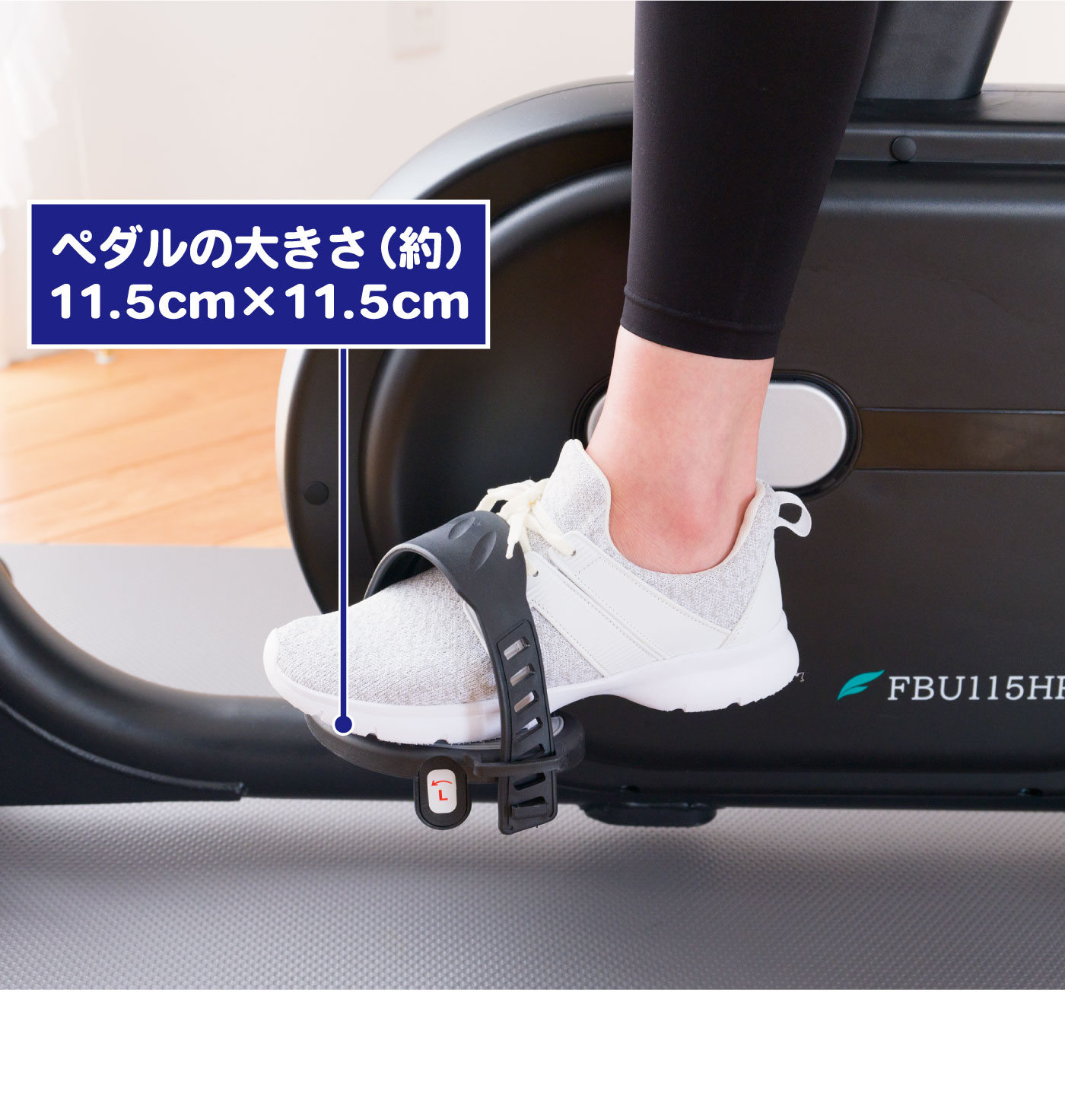 �ڥ��� �礭��