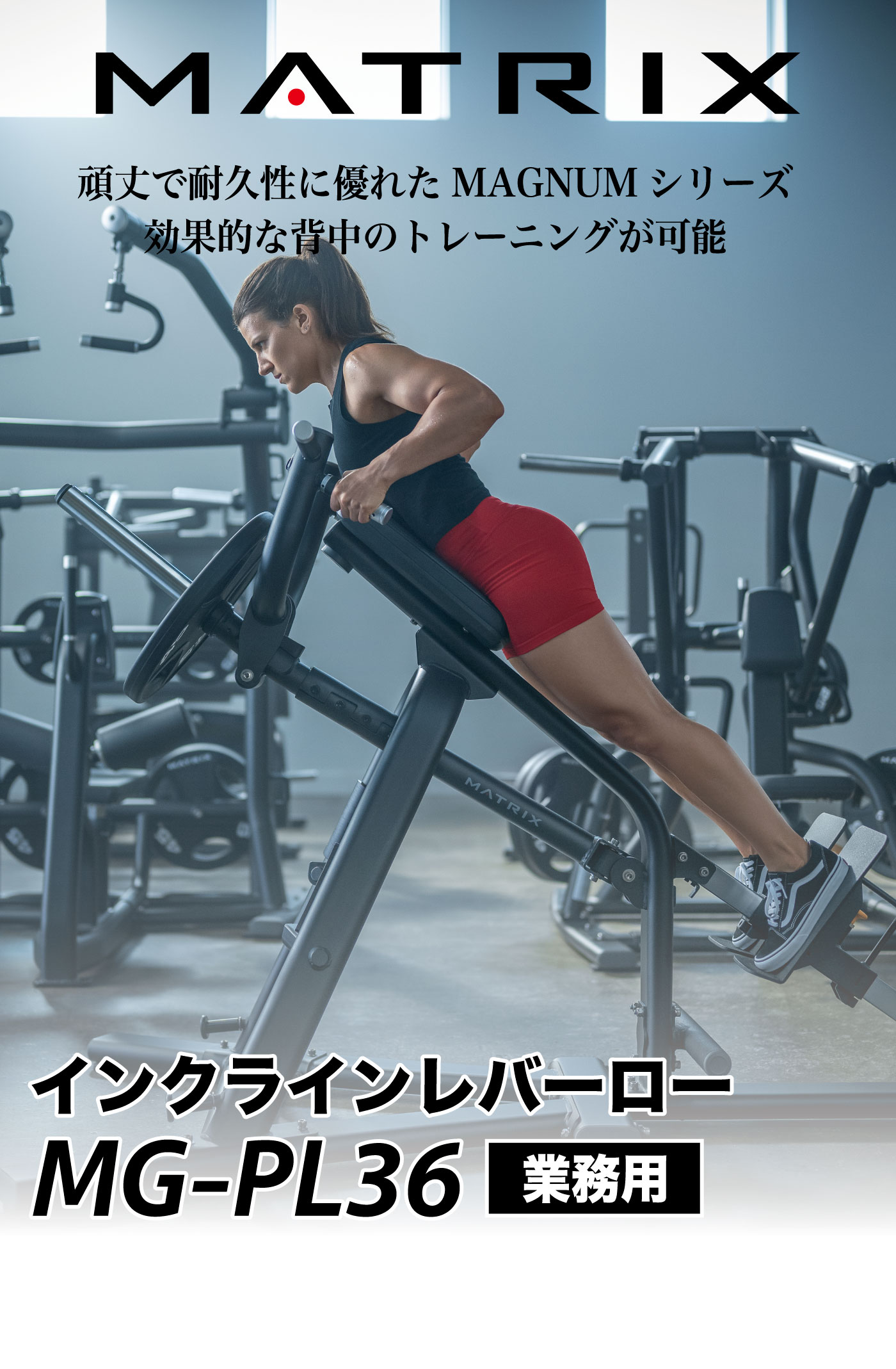 �ץ졼�ȥ����ǥ��󥰥ޥ��� �ץ졼�ȥ���