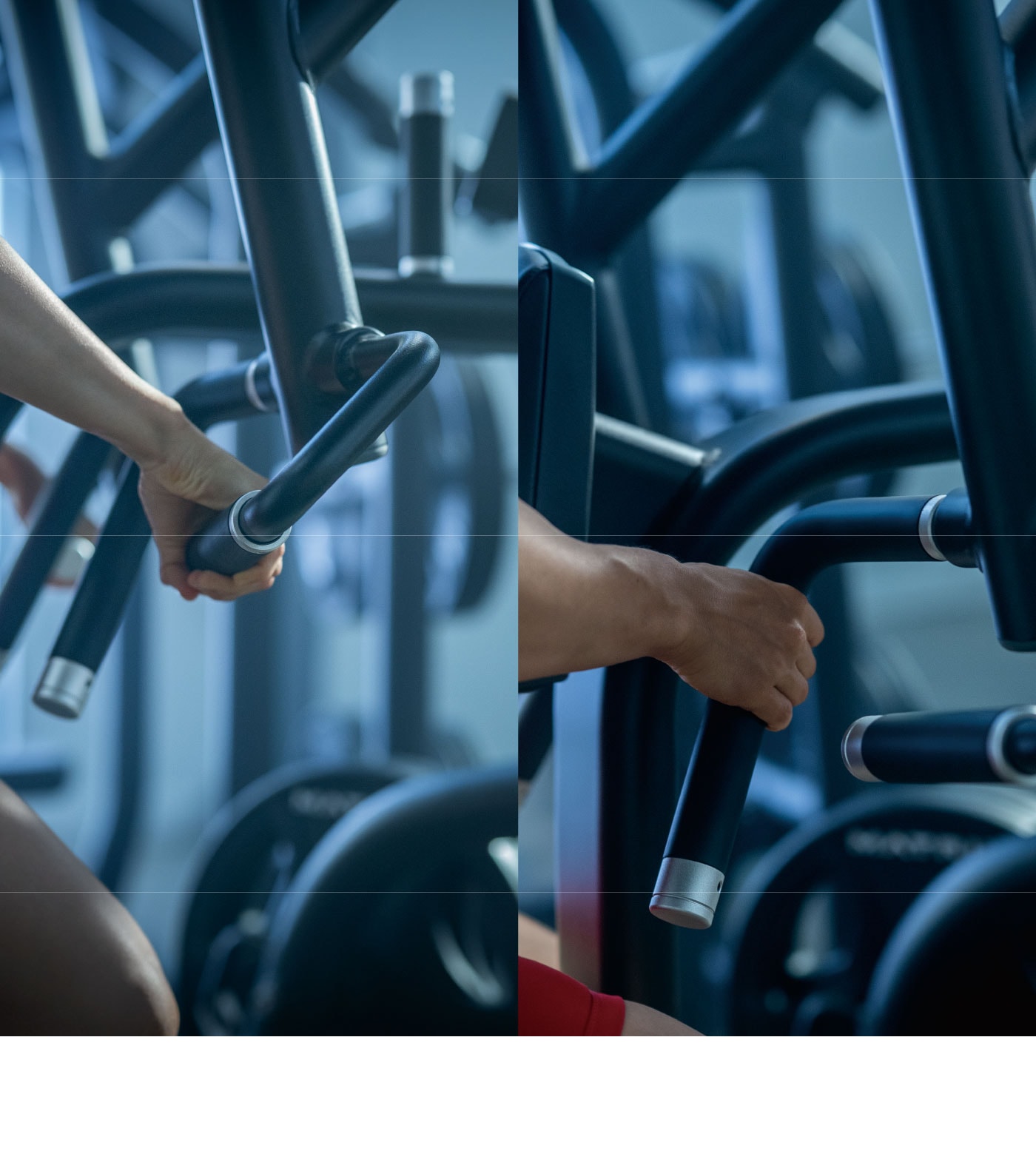 ������������ɷ�