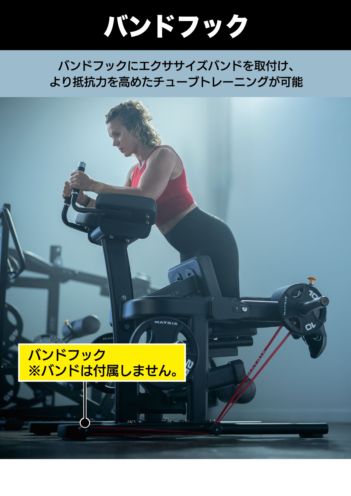 MG-PL72（ニーリングレッグカール）｜業務用プレートローデッド