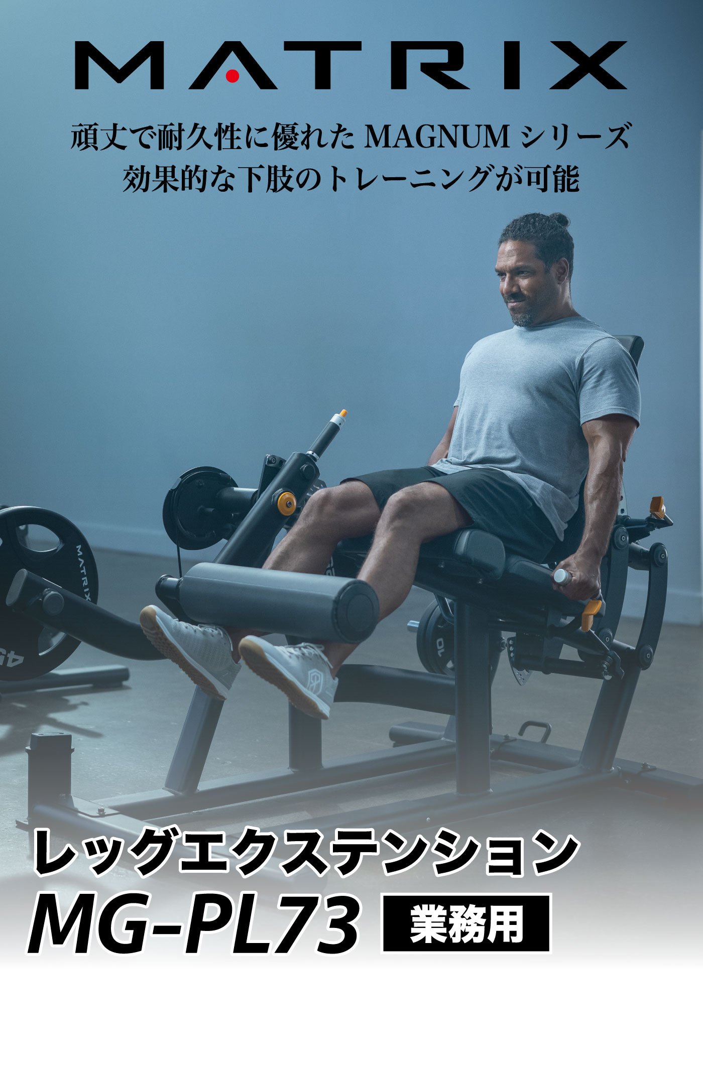 �ץ졼�ȥ����ǥ��󥰥ޥ��� �ץ졼�ȥ���