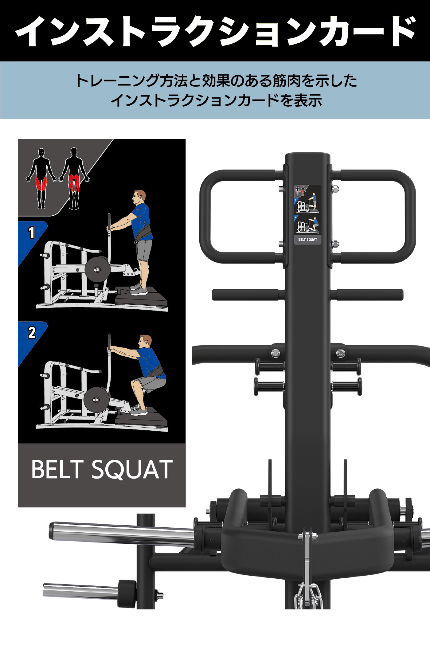 MG-PL81（ベルトスクワット）｜業務用プレートローデッド【プレート