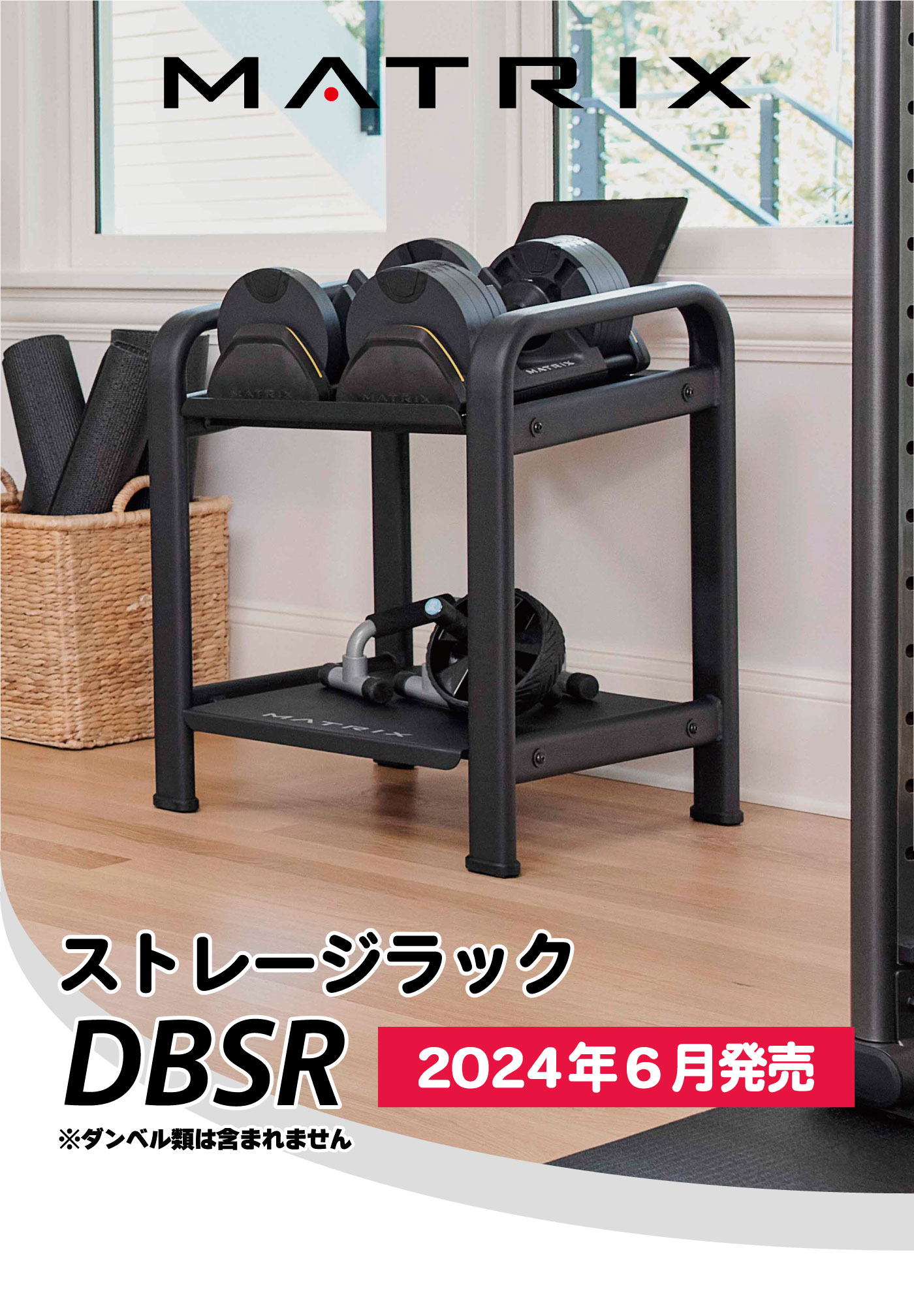 DBSR／家庭用・準業務用ストレージラック【ダンベルラック スタンド アクセサリーラック 収納】〈家庭用MATRIX〉《ジョンソンヘルステック》