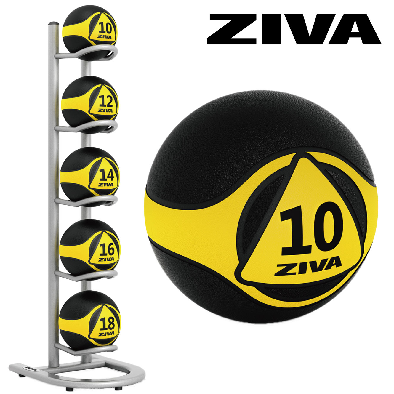 メディシンボール5個 5マルチボールツリー ボールラックセット 2kg 10kg メディシンボール ラックセット 業務用 Ziva ジーヴァ