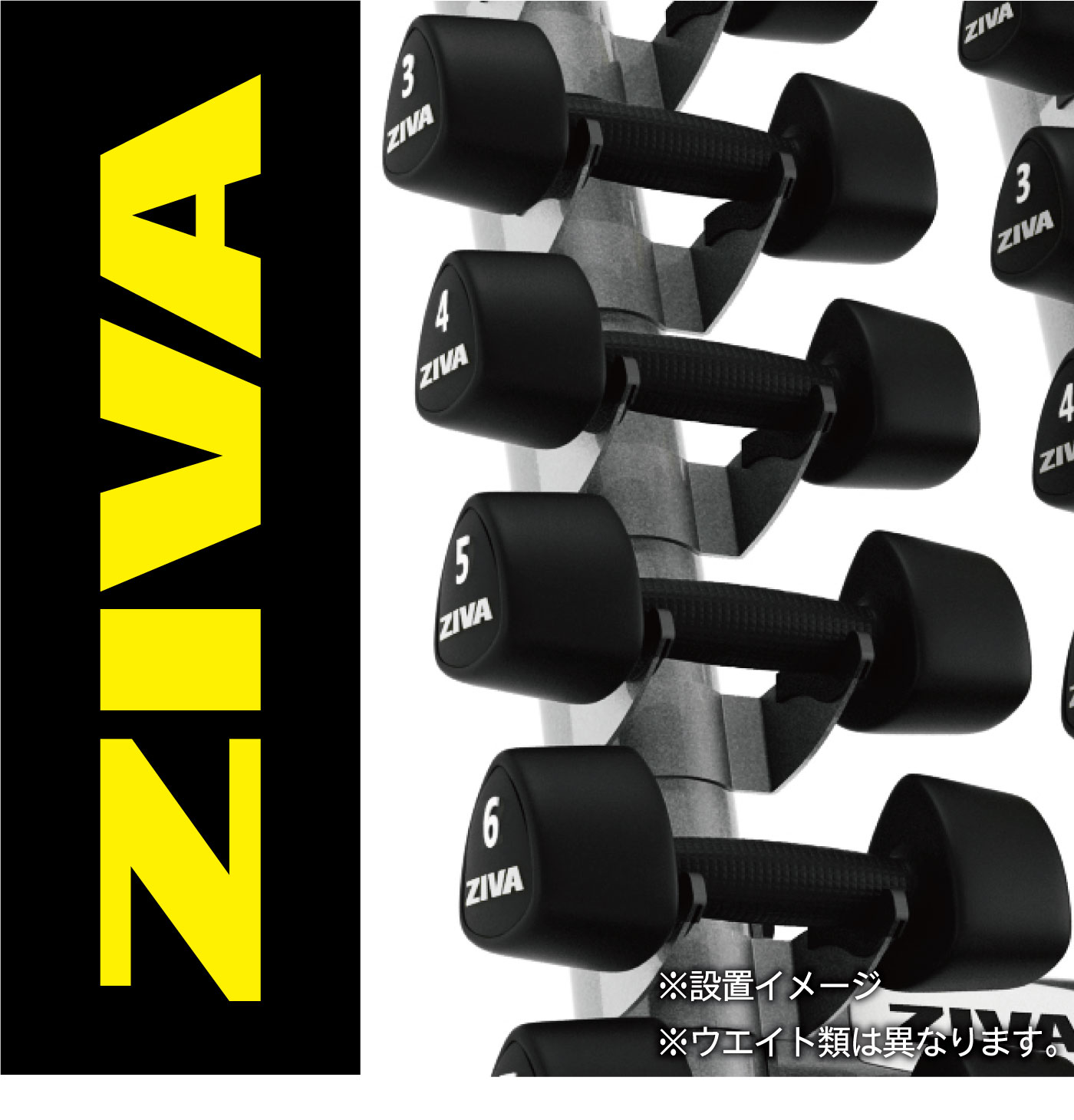 セット販売　ZIVA（ジーヴァ）　ダンベル10セット