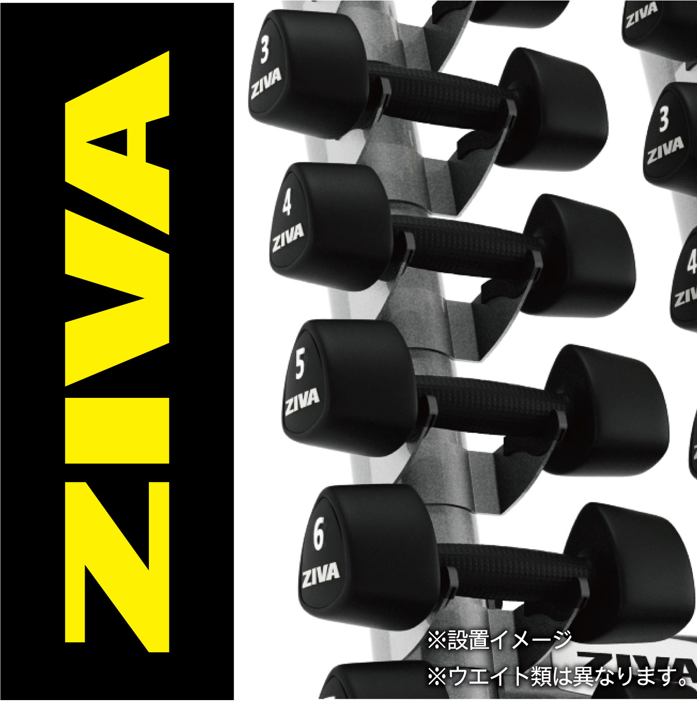 セット販売　ZIVA（ジーヴァ）　ダンベル10セット