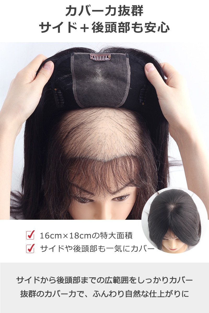 公式】私元気ウィッグ専門店 | 若見え レミーヘア【特大面積 16×18cm