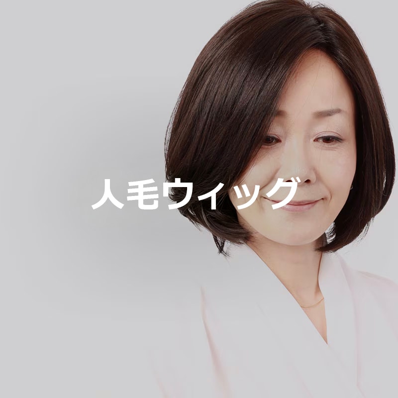 私元気の人毛ウィッグ一覧