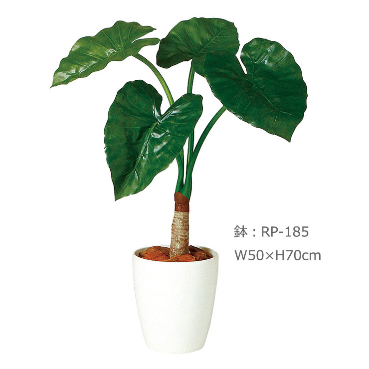 Tokaクワズイモ シングル 70cm 受注生産品 送料区分 2 造花や人工観葉植物の通販サイト インテリアグリーンドットコム