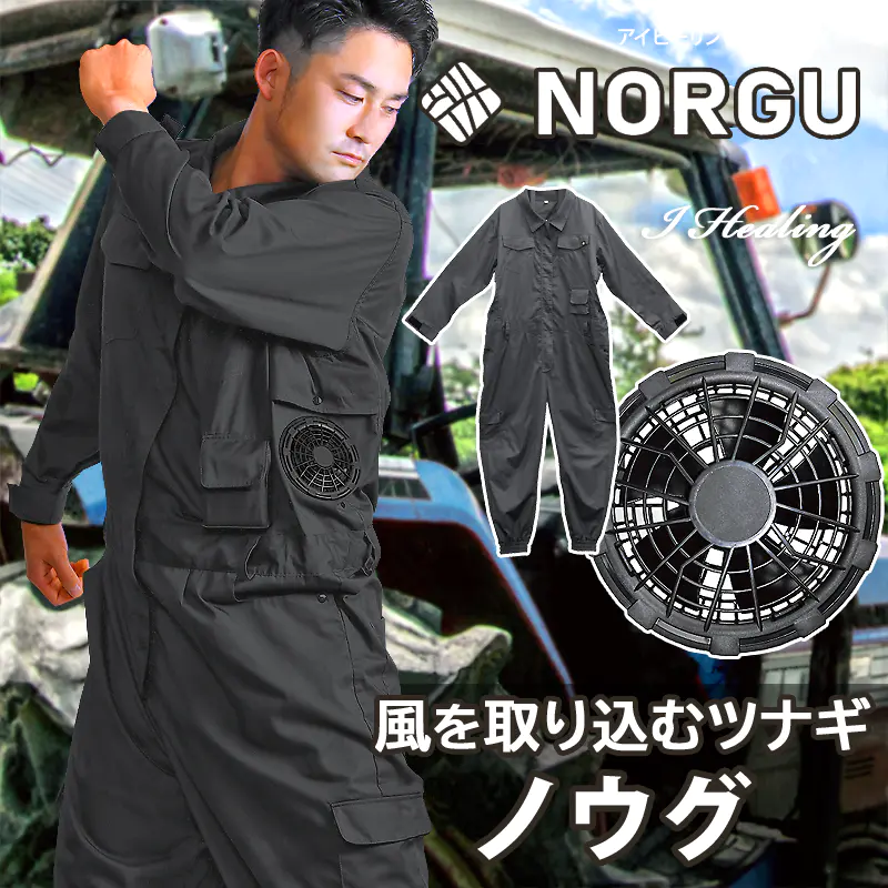 NORGU ĥʥ Υ 졼 