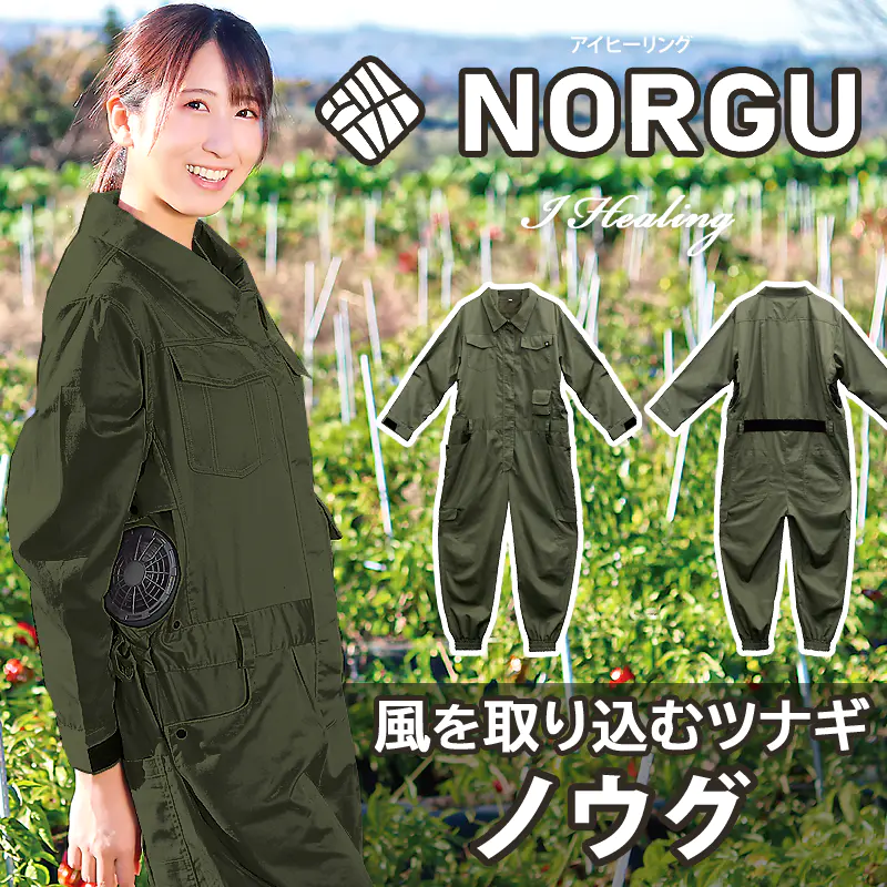 NORGU ĥʥ Υ 