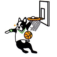 Basketball Junkyスポルディング犬 楽しいスポーツ犬パンディアーニ君 バスケットボール マグカップ Spalding Bsk通販 アイヒーリング本店