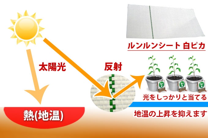 KOIZUMI (小泉製麻)　防草シート　ルンルンシート　白ピカ　幅200cm×長さ100m - 1