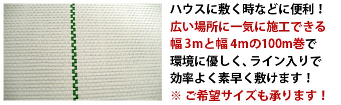人気ブランド ルンルンシート 3m×100m 巻 小泉製麻株式会社