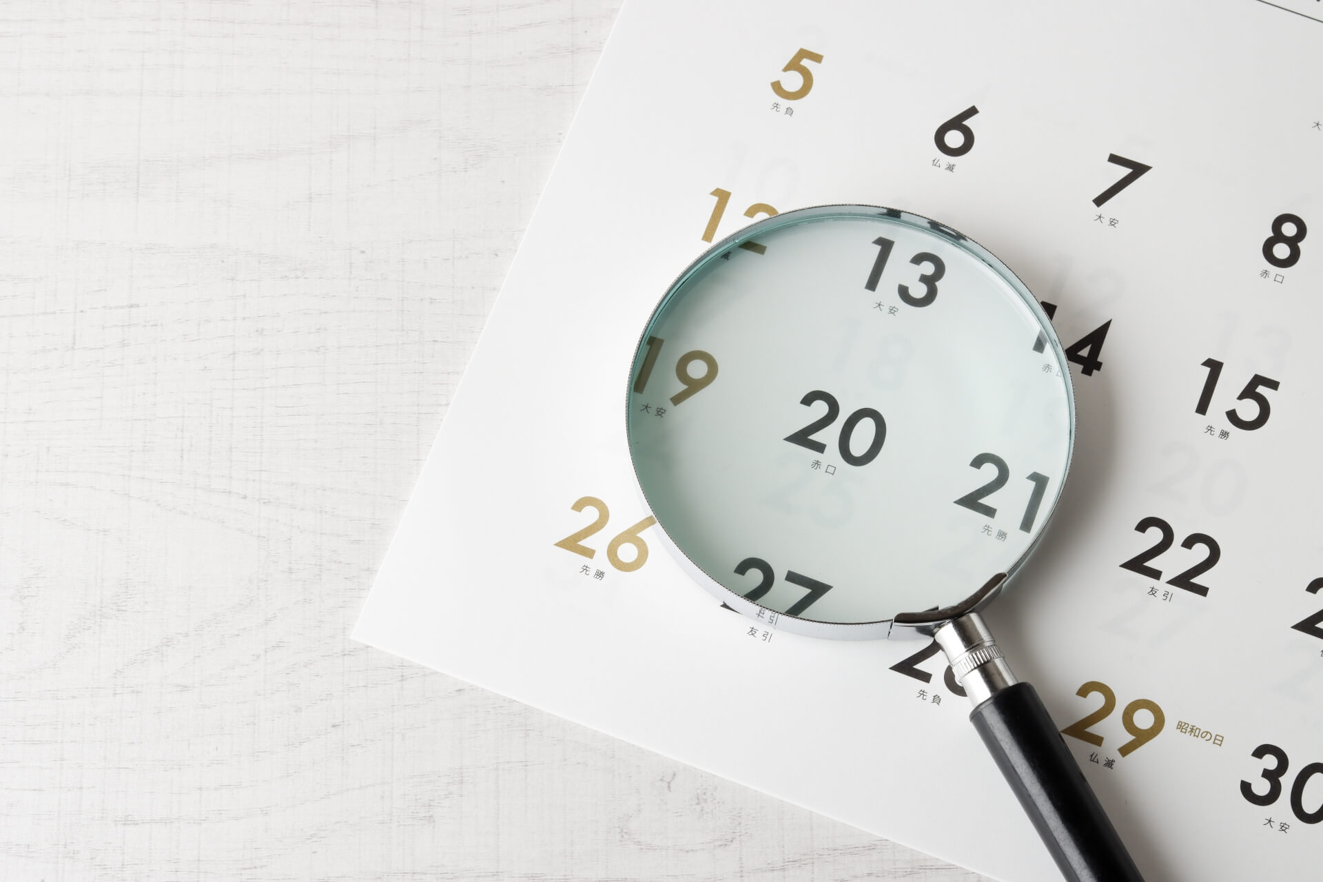 �׽մ��˥��ӤϤ��Ĥޤ�³����ʿ��Ū�ʴ��֤�Ĺ�����˥��ӤΥ�����