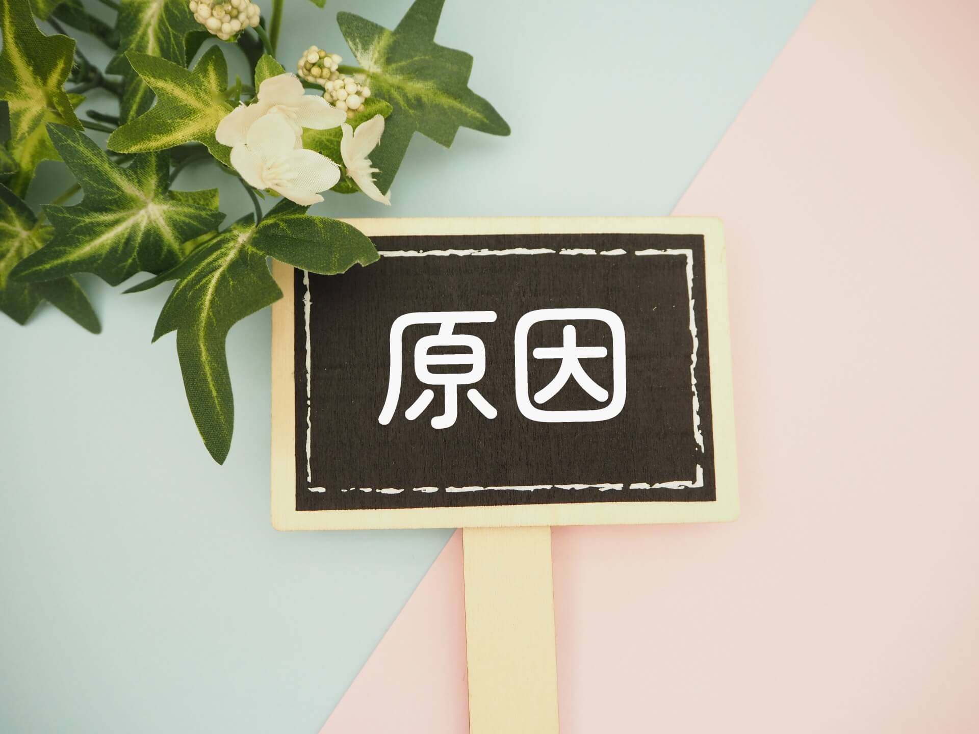 �׽մ��˻Ҥ�¿���˥��Ӥθ�������ħ