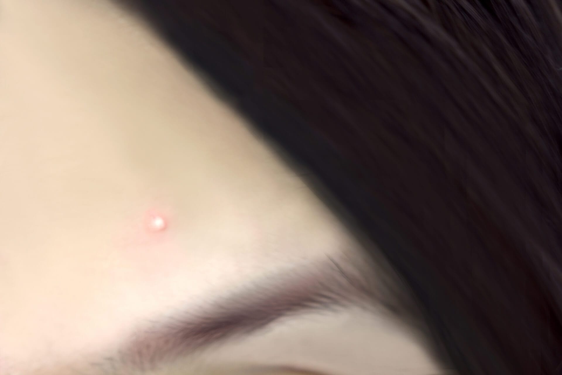 Ŭ�ڤʥ��������ס��׽մ��˥��Ӥδ����μ�