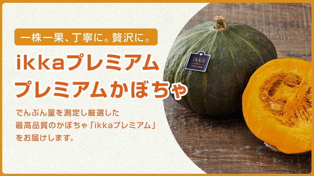 ץߥफܤikkaץߥۡʤޤ/ԡ