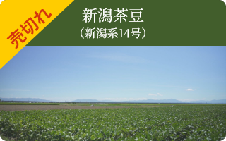 2025年枝豆販売 | 新潟 いい品小路